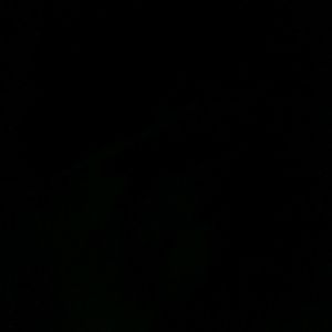 Meet your Posher, Andre